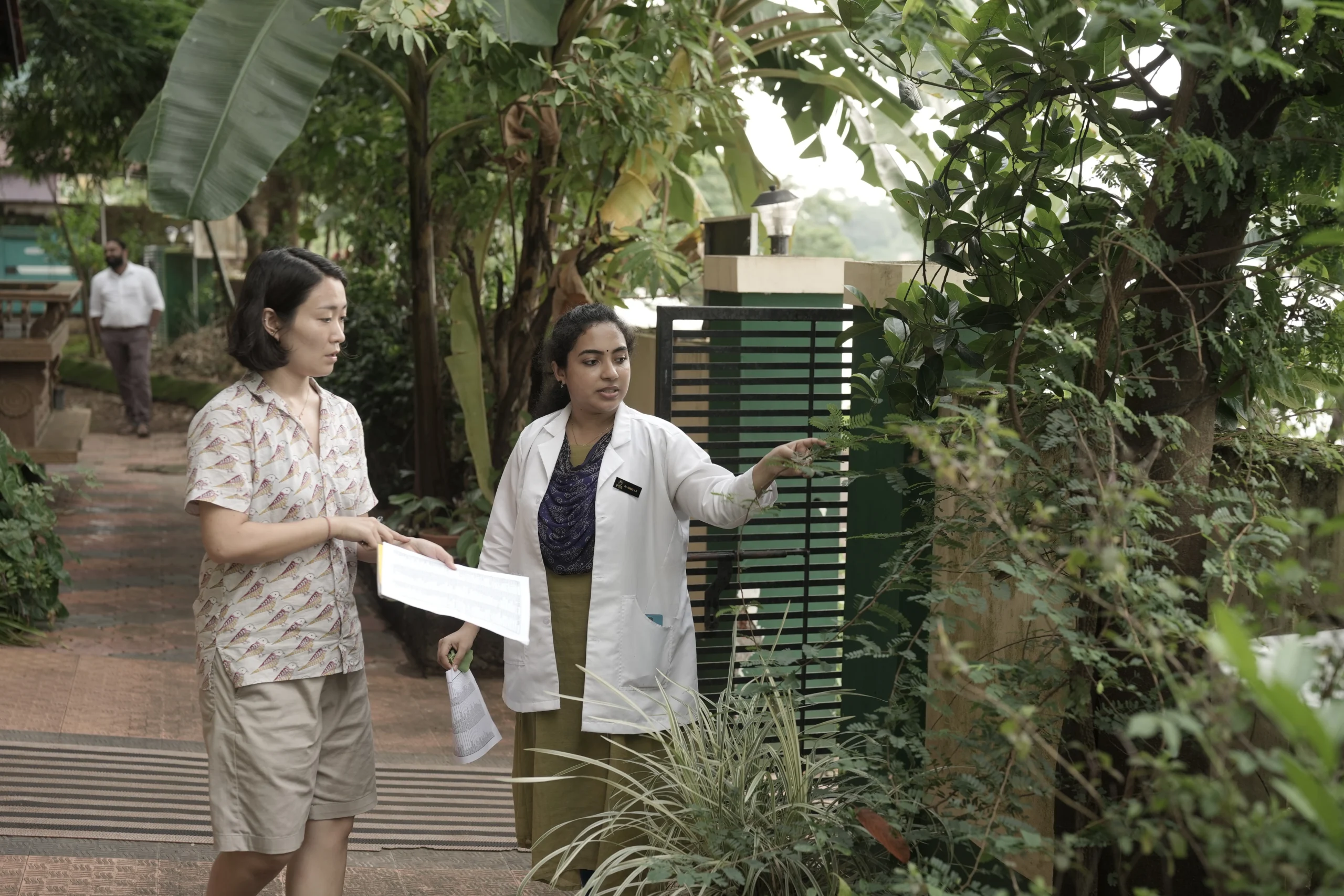 Certificate in Ayurvedic Herbal Studies